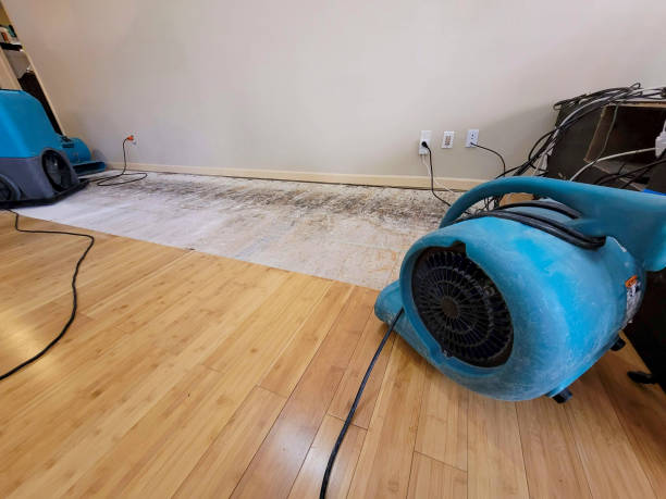Professional Structural Drying technician working in Eau Claire, WI